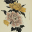 apothecarynocturne