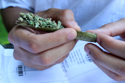 biitchesaintshiibuthoesntriicks:  radioactiveheroin:  takenbyme  Best photo set of a blunt being rolled by far 