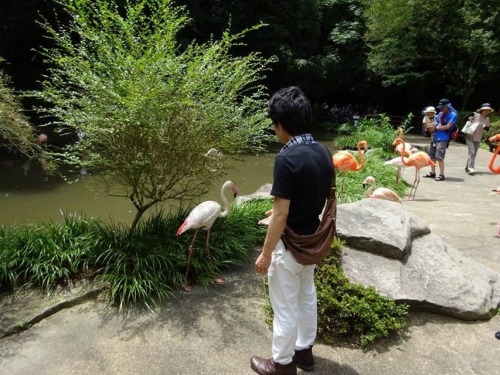 Ryo likes birds haha.