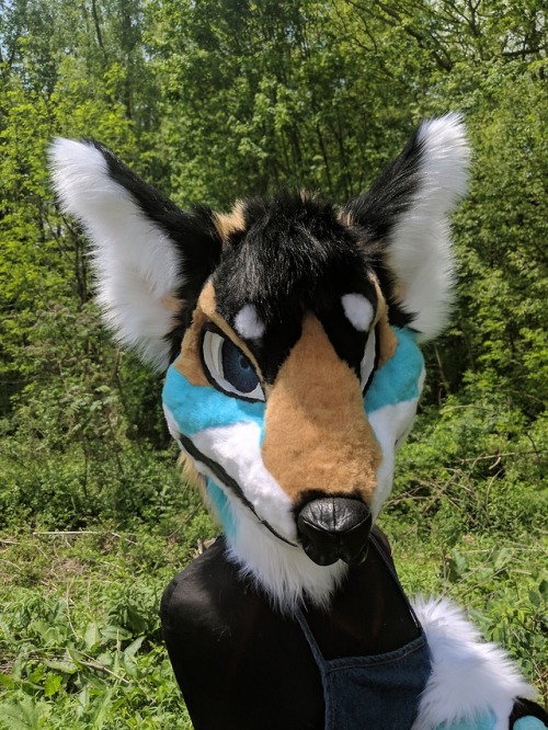 New Bab up for auction!https://www.furbuy.com/auctions/1103430.htmlAuction ends may 21st ;3