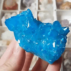 vortigaunt-stims:  [ Shadow the hedgehog ] x x x   x   x x x