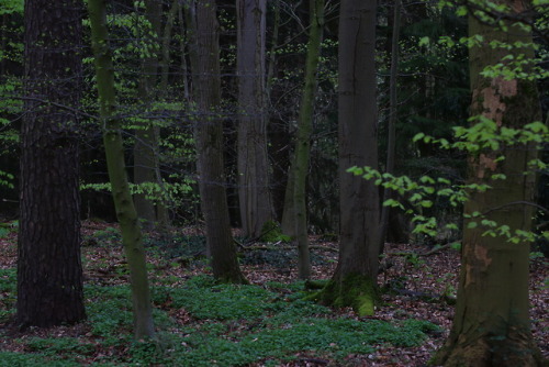 90377:Nature photography by 90377Instagram | Etsy Shop