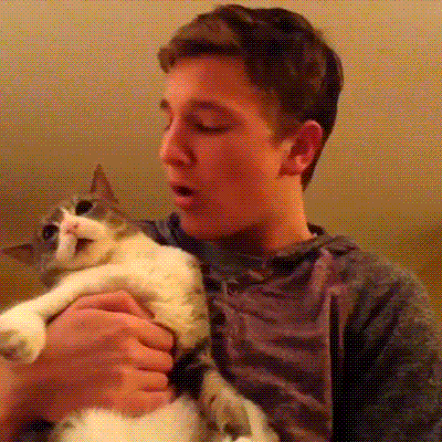 sorelatable:  humoristics:  Kissing under the mistletoe   me on new yrs 
