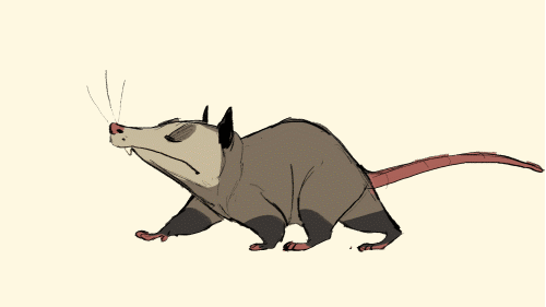 frozenspots:possum walk!