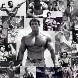 pittkidd:  #epic pic of the #arnoldschwarzenegger #legend #arnoldclassic #gym #benchmarch   🚀