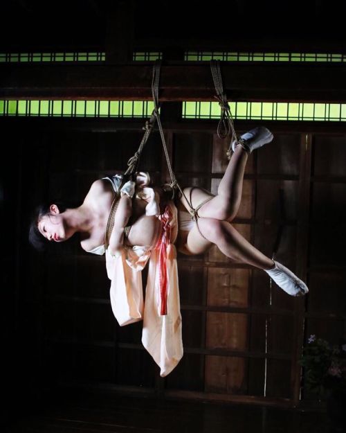 mai8chan:Shibari Hajime KinokoModel Shiro