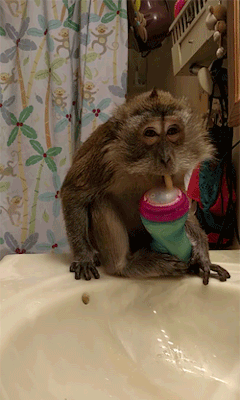 Onlylolgifs:  Video