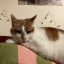 proust4everandever-blog