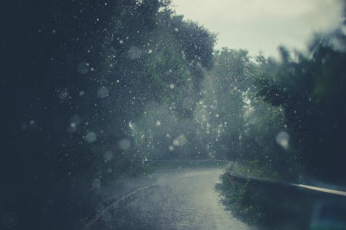 expressions-of-nature:Heavy Rain // The Storm by Emilie Delmond