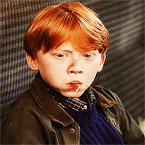  Harry Potter Memes: Favorite Character: →Ron Weasley: [1/5] 