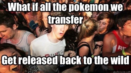 This explains the pidgeys&hellip;