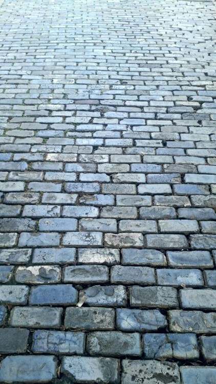 gastongilberte:  Blue cobblestones at city gate, Old San Juan