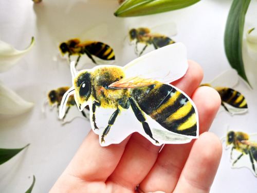 Babely Bee Stickers // Zaiguu