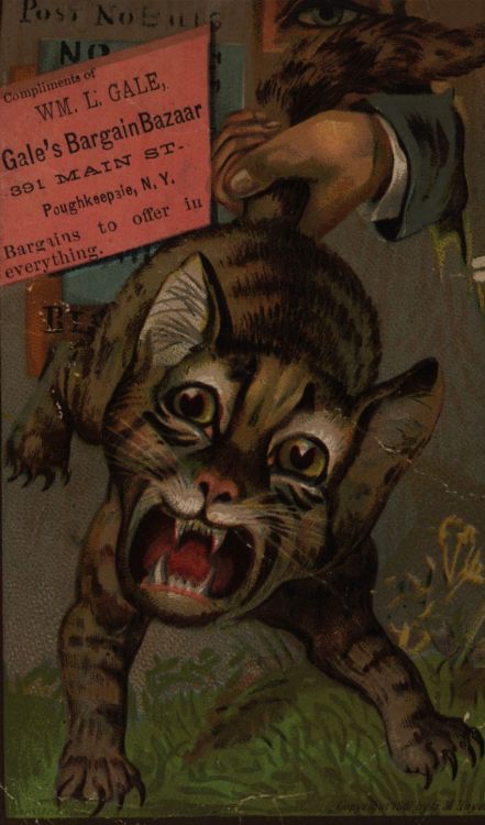 usfspecialcollections:Late 19th century, advertising cards, found while searching for late 19th cent