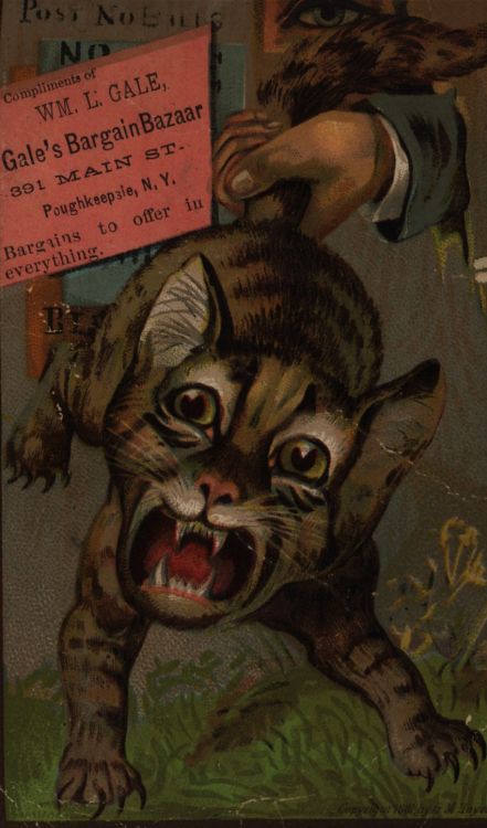 usfspecialcollections:  Late 19th century, advertising cards, found while searching for late 19th ce