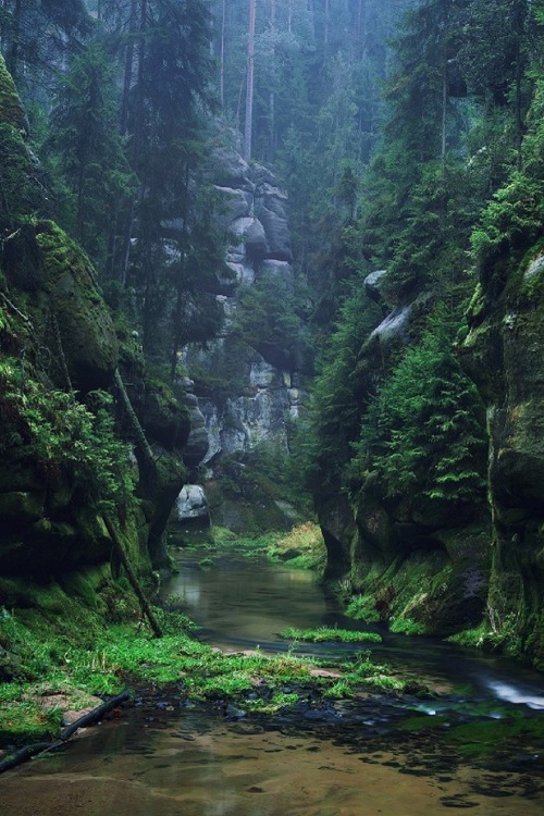 sublim-ature:AustriaKilian Schönberger