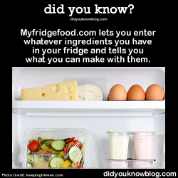Did-You-Kno:  Did-You-Kno:  Myfridgefood.com Lets You Enter Whatever Ingredients
