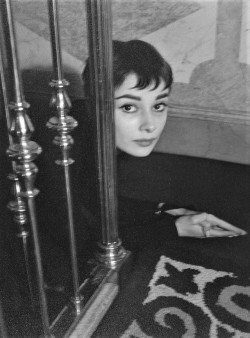 gatabella:  Audrey Hepburn by Cecil Beaton, March 1954