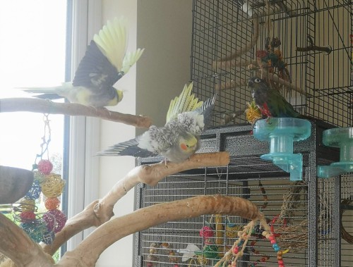 Bathtime is a family activity 