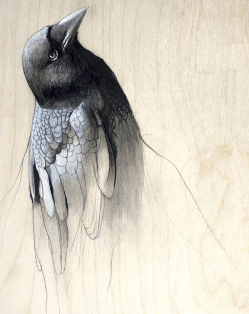 lohrien:  Illustrations by Lauren Gray