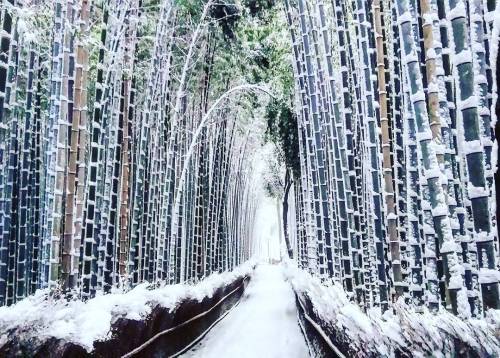 Porn mymodernmet: Heavy Snowfall in Kyoto Turns photos