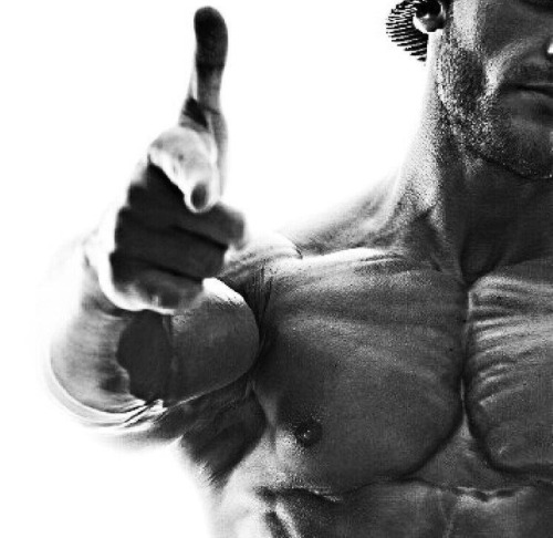 killermuscle: That’s how Alpha tells a fagg it’s next.