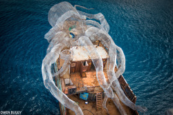 white-aster: charlesoberonn:  itscolossal: An 80-Foot Steel Kraken Will Create an Artificial Coral Reef Near the British Virgin Islands When you wanna save the reefs but also confuse the hell out of future marine biologists.  And scare the crap out of