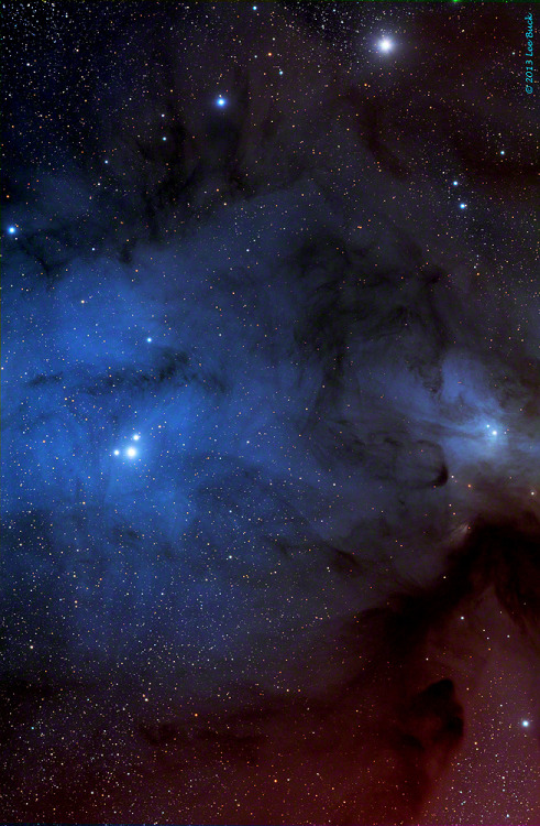 kenobi-wan-obi:Rho Ophiuchi Nebula by Lee BuckThe Rho Ophiuchus Nebula Complex (IC4604) and the surr