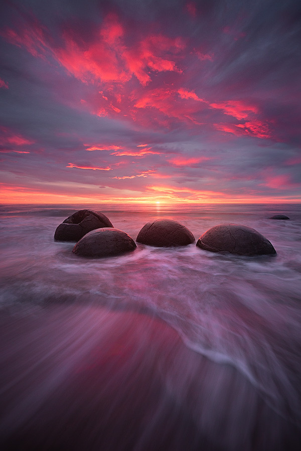 earthandanimals:   Amazeballs by Dylan Gehlken    