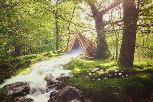 tearingdowndoors:  500px / A River Runs Through It || Aaron Jones 