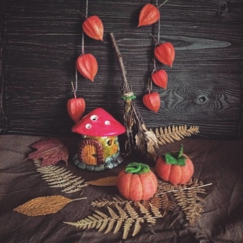 I cut off all the physalis lanterns in the garden to decorate the house. Cute woolly pumpkins, a tin