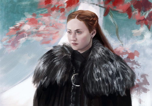 Photo study