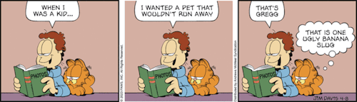 garfield-comic:  Garfield by Jim Davis for