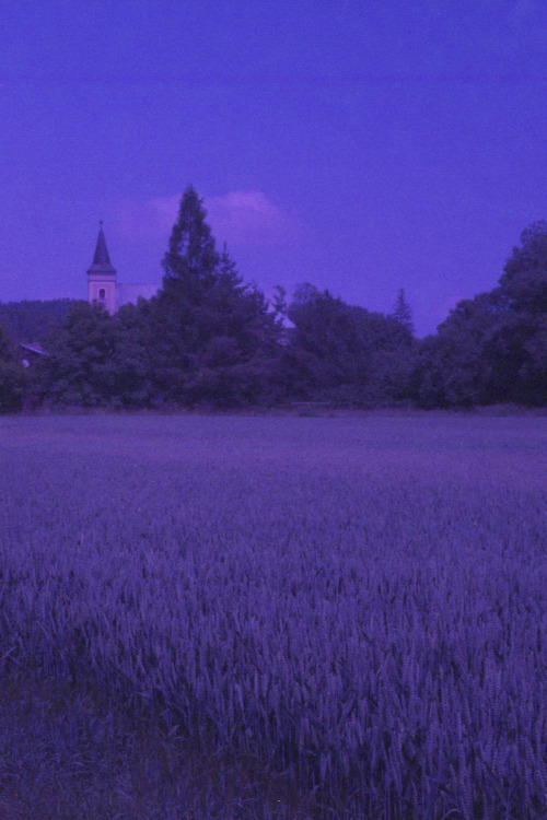 Město Albrechtice, Czech Republic | June 2021 | Olympus Pen FT on Konica VX 200