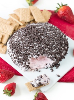 do-not-touch-my-food:  Chocolate Covered Strawberry Cheese Ball 