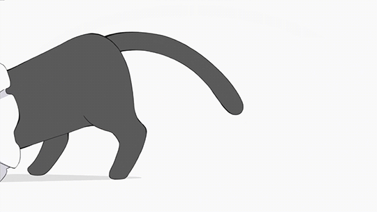 Nichijou Cat GIFs