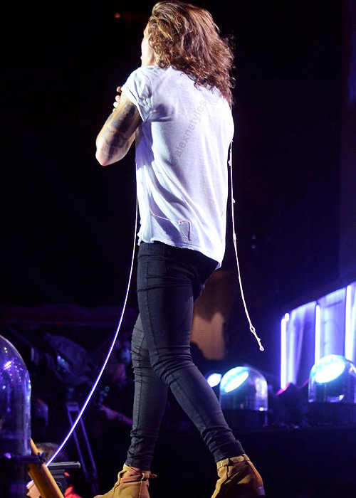 Harry on stage in Baltimore! (August 8 2015)