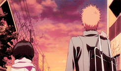 digital-skyline:  Get to Know Me » [2/6] Pairings ↳ Kurosaki Ichigo &amp;
