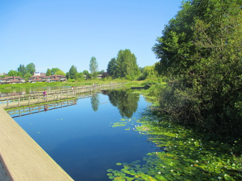 Mill Lake, Abbotsford. 