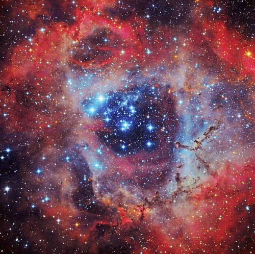 the-wolf-and-moon: NGC 2244, Rosette