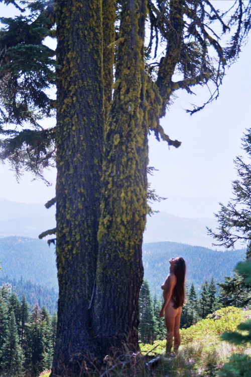 35mm by Sophie SeymourMt Ashland, Oregon. 