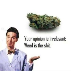 legalizeact:True. 