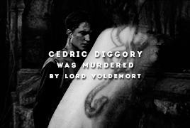 Remember That, And Cedric Diggory Will Not Have Died In Vain.