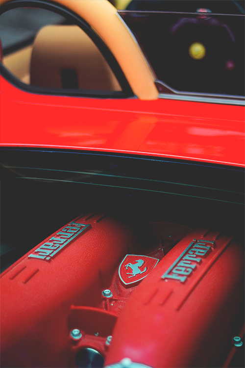 wearevanity:  Pony Power | WAV 