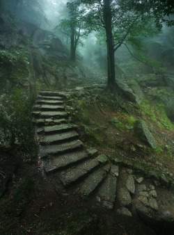 radivs:  Stairway to the Castle by Karol Nienartowicz 