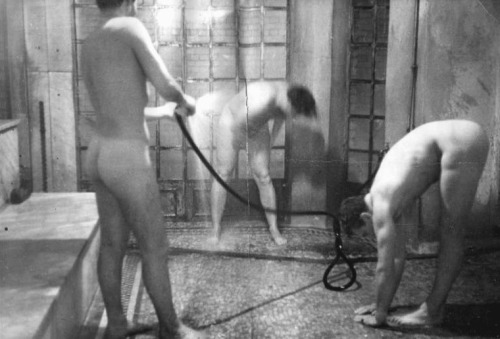 vintagemusclemen:  I see a lot of potential here.