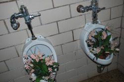 childmagazine:  Dan Machold flowers in urinals  Taken inside Kilian Hall, at Concordia University, which is slated for redevelopment. 