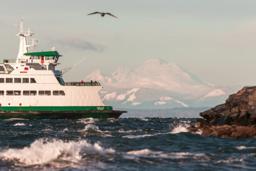 bsharp321: Windy and cold day in Edmonds.