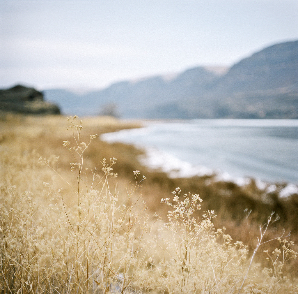 fernlox:  Lake Lenore (by bnzai9) 