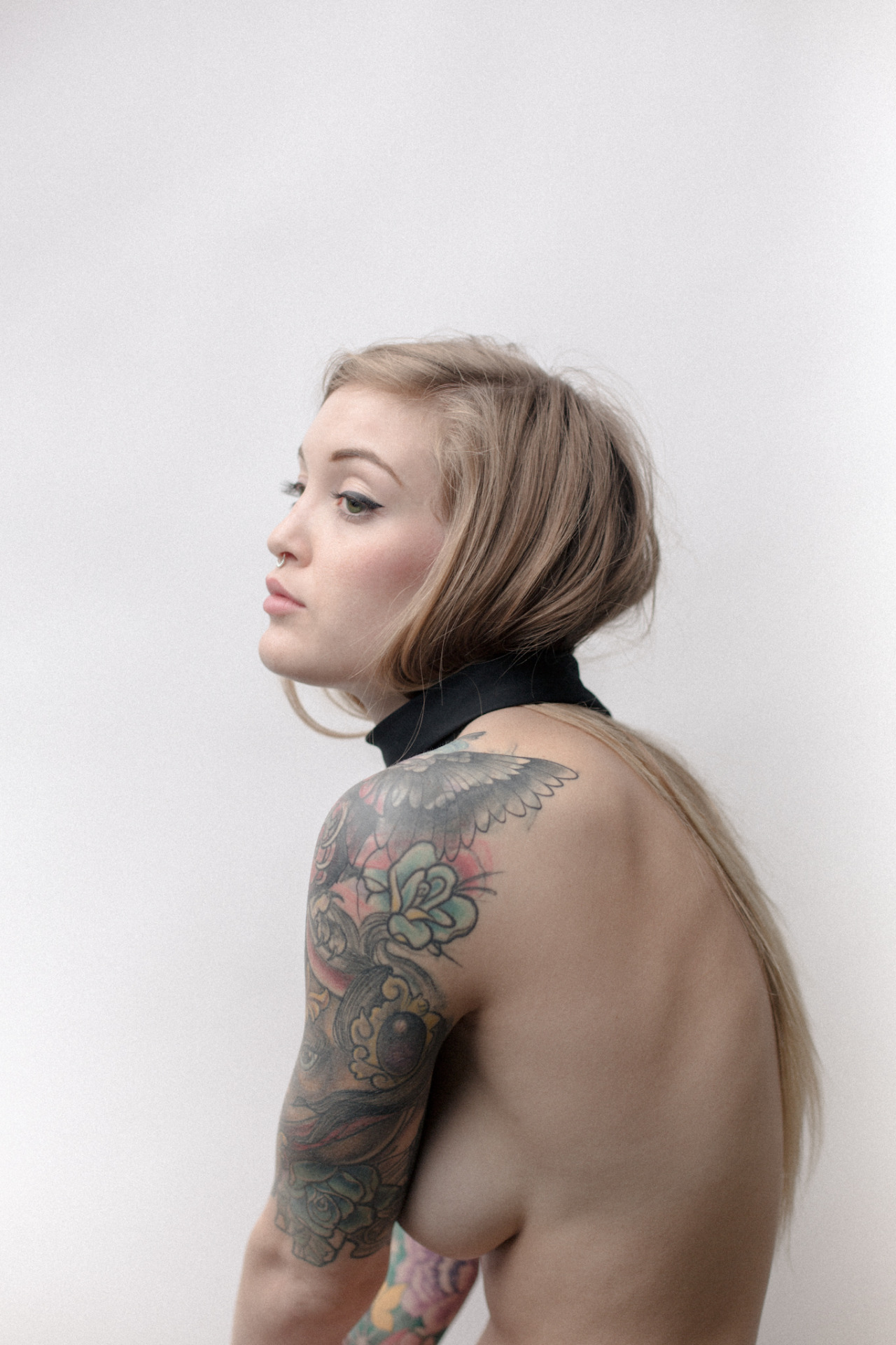 daltonc71:  Torrie 
